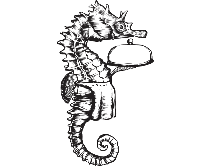 Seahorse server illustration