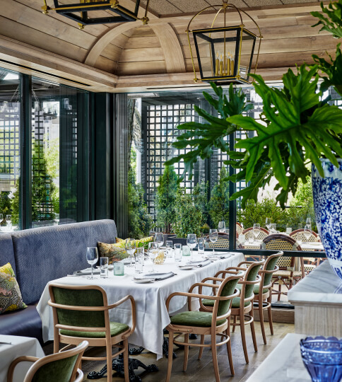 a dining room with tables and chairs and a potted plant.