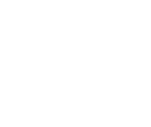 The Valley Inn logo